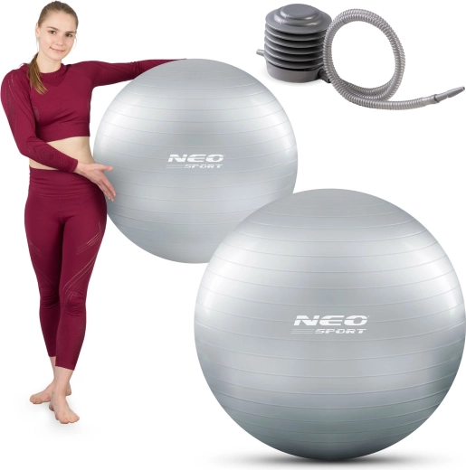 Balón de gimnasia de 75 cm con sistema anti-reventón (Anti-Burst), plateado