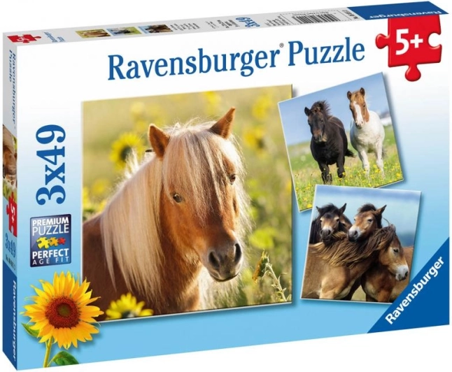 Rompecabezas Ravensburger caballos adorables 3×49 piezas
