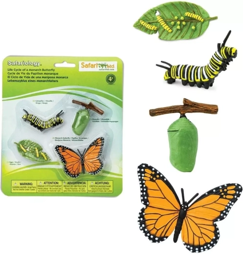 Safari Ltd. ciclo de vida de la mariposa monarca