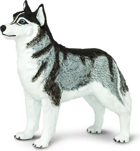 Safari Ltd. figura de husky siberiano - 1 unidad