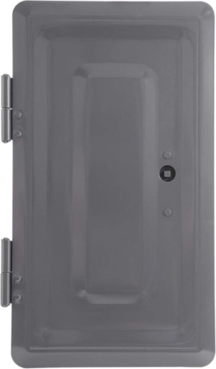 Puerta doble para chimenea gris 160 × 320 mm