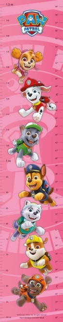 medidor de crecimiento PAW PATROL rosa