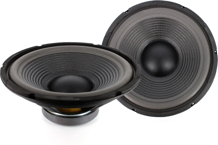 Altavoz CARGUARD de 12 pulgadas, 300 W