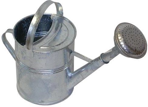 Regadera de jardín galvanizada de 5 l con roseta