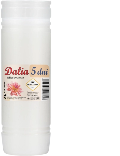 Juego de 10 recambios de parafina Dalia 19 cm / 120 h