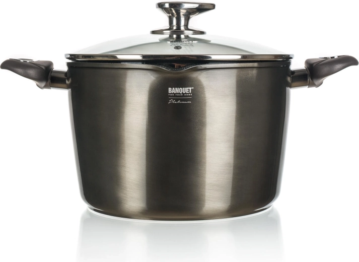 Olla con revestimiento antiadherente 6,2 l METALLIC PLATINUM, 24 cm con tapa de vidrio