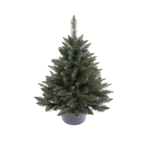 Árbol de Navidad vivo: abeto en maceta aprox. 0,8 m
