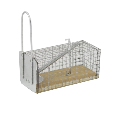 Trampa viva para ratones y ratas 11 × 5,5 × 5,5 cm