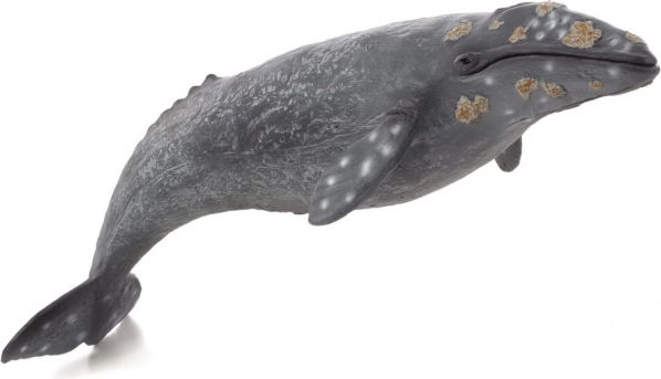 Figura realista de rorcual gris
