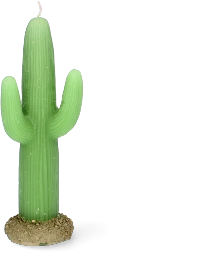 Vela con forma de cactus de 17,5 cm – vela decorativa de parafina
