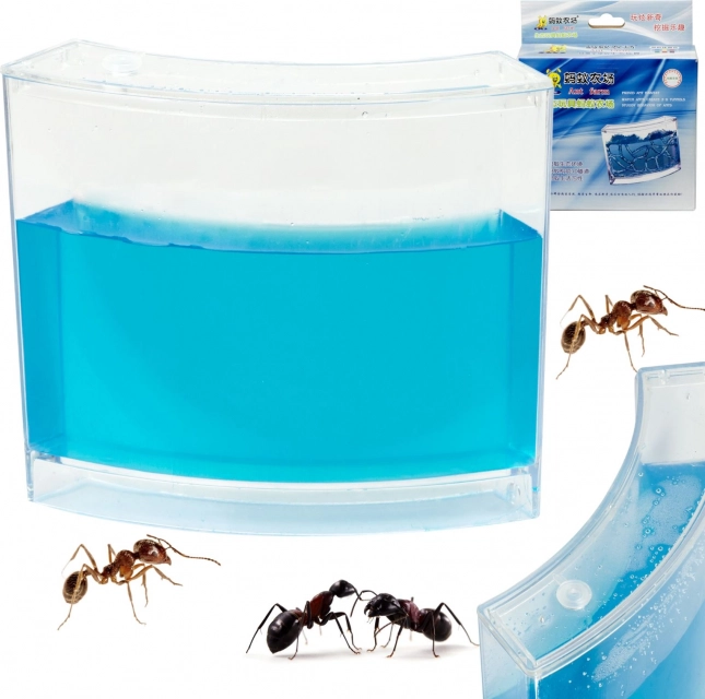 Acuario educativo de hormigas con gel