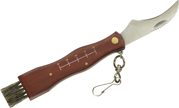 Cuchillo plegable para setas con cepillo y funda