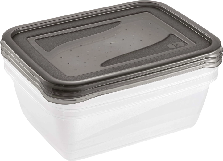 Keeeper Fresh & Freeze recipiente para alimentos 1,25 l, 3 uds