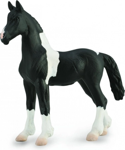 Collecta potro barroco pinto