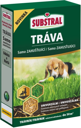 Mezcla de césped autorreparadora EVERGREEN 1 kg
