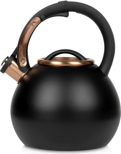 Hervidor de acero inoxidable Vilde con silbato 3 l negro