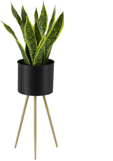 Elegante soporte metálico para flores 60 cm, negro con patas doradas
