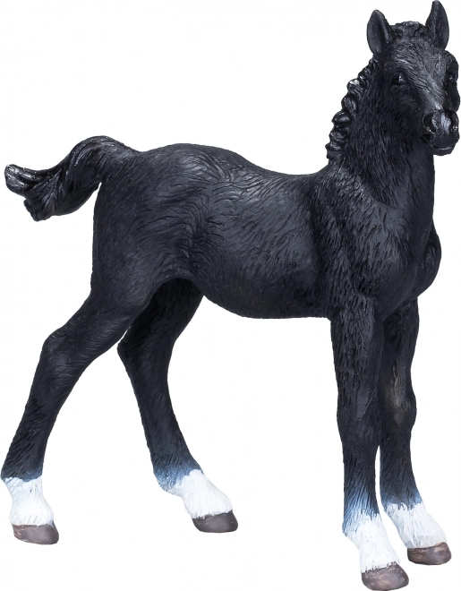 Mojo potro Hannoveriano negro