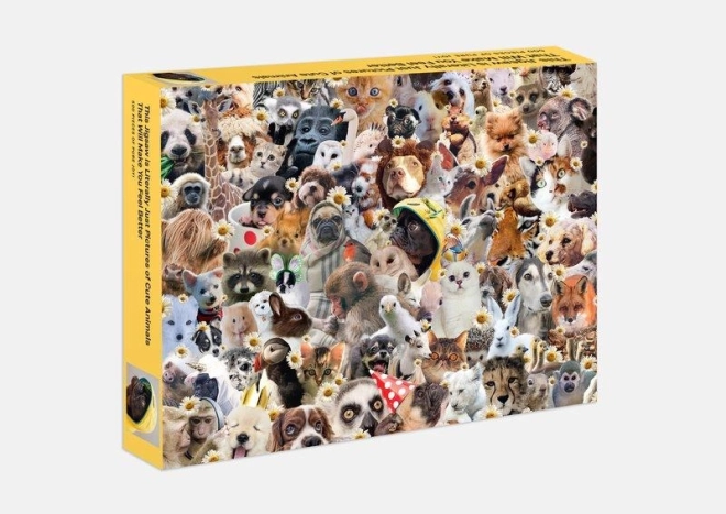 Puzzle de animales divertidos Galison 500 piezas