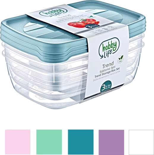 Juego de 3 cajas de almacenamiento rectangulares Trend Box 2 l