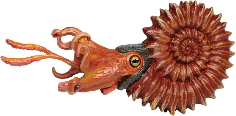 Safari Ltd. amonita – figura pintada a mano