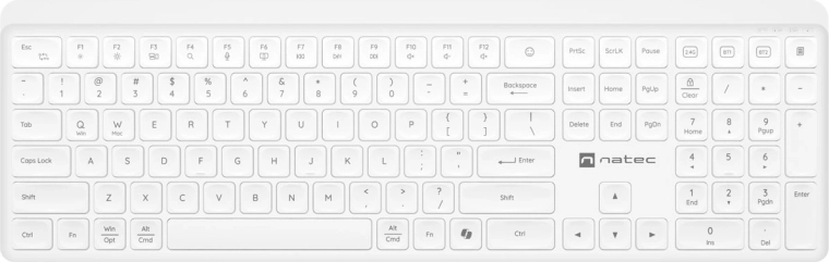 Teclado inalámbrico silencioso Natec Tang US blanco