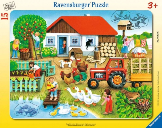 Puzle de 15 piezas ¿Qué encaja aquí? – En el campo RAVENSBURGER