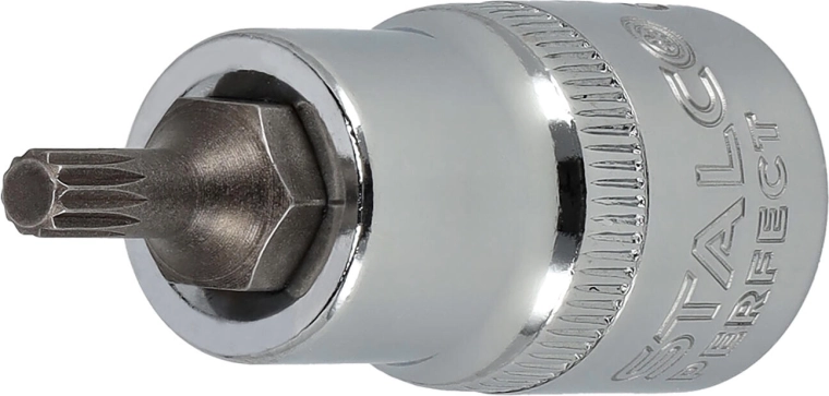 Vaso 1/2" con punta SPLINE M10 55 mm Stalco