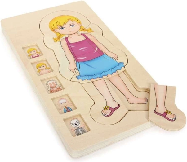 Small foot puzzle anatómico de madera por capas