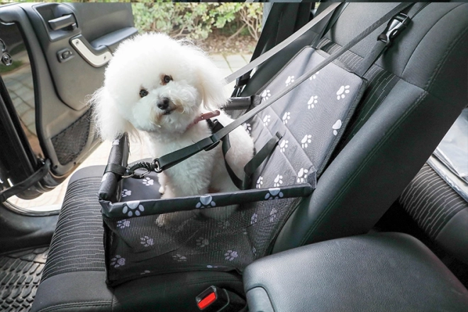 Portabebé de asiento de coche para perros y gatos