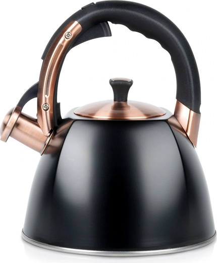 Vilde tetera silbadora de acero inoxidable negra 2,8 l