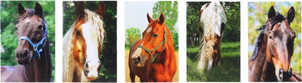 Bloc con motivo de caballo MINI 40 h., 6x8,5 cm