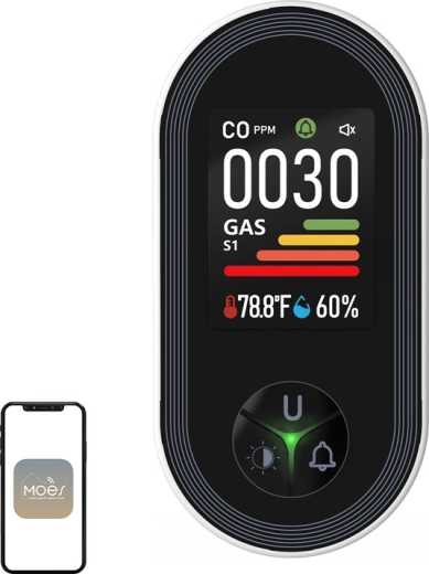 Detector MOES de monóxido de carbono y gases inflamables con pantalla a color (S02-CG)