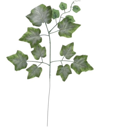 Juego de 12 ramitas artificiales con hojas de vid, verdes, 78 cm