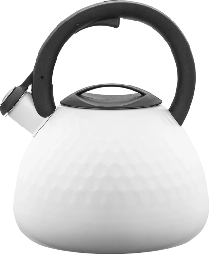 Hervidor de acero inoxidable Logan 2,7 l