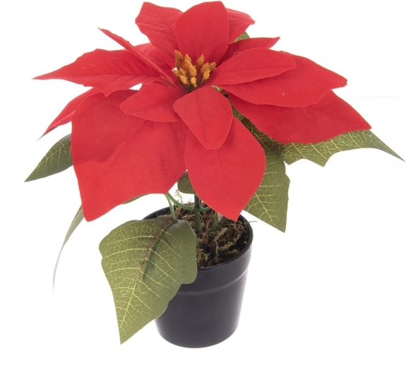 Flor de Pascua artificial (poinsettia) en maceta, roja 19 cm