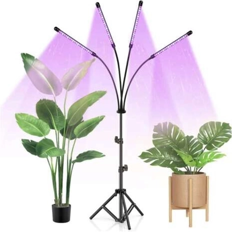 Tres modos de luz para cada ciclo de crecimiento