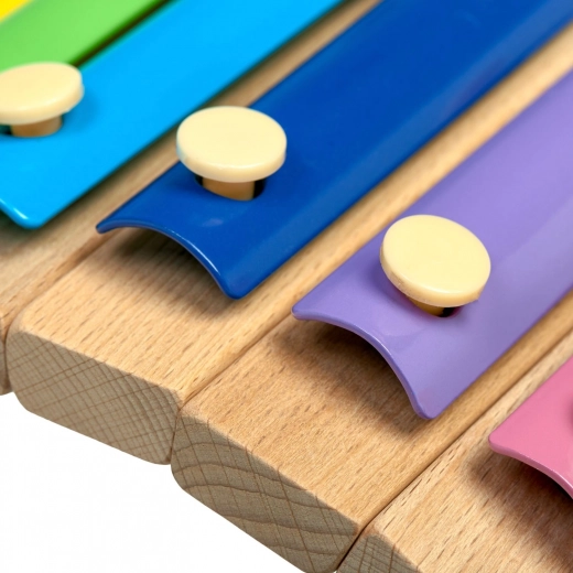 Diversión musical con 8 tonos de colores