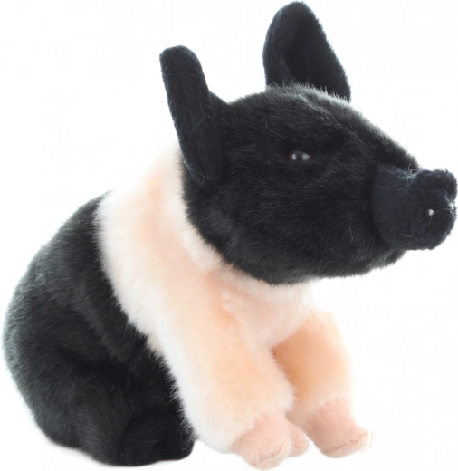 Seguro desde el nacimiento