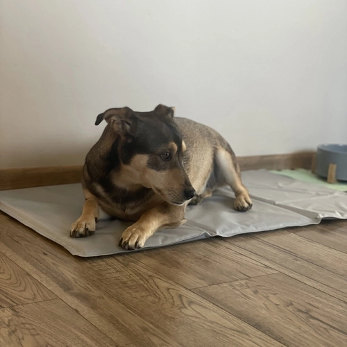 Fácil mantenimiento y almacenamiento