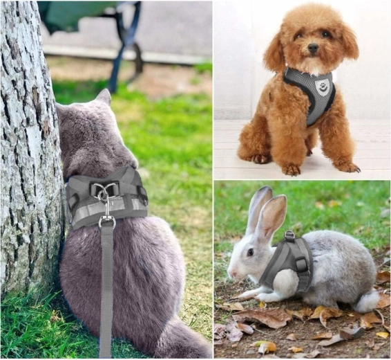 Universal para perros, gatos y conejos