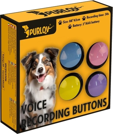 Diseño colorido y atractivo