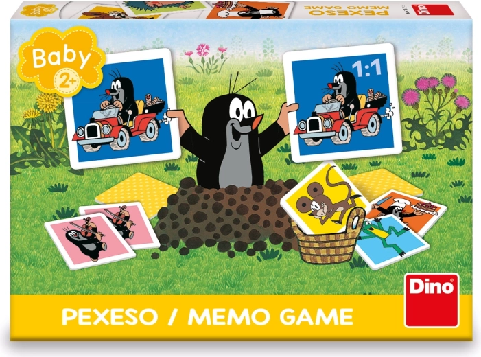 Desarrolla la memoria