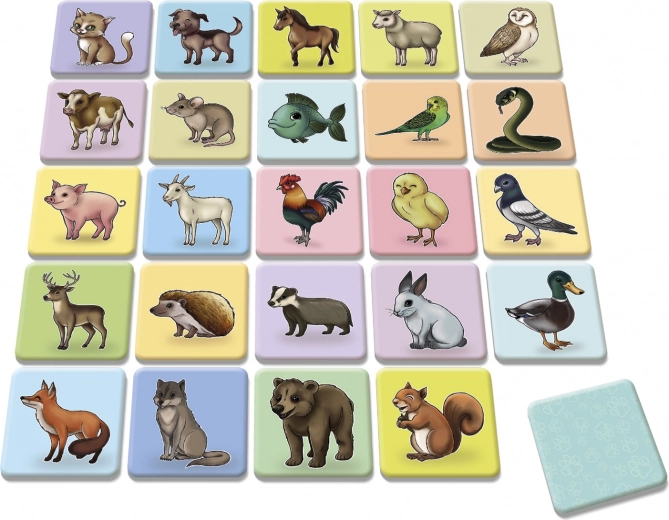 Ilustraciones coloridas y de calidad