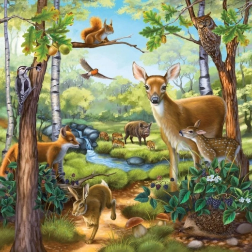 Animales en el bosque – naturaleza encantadora