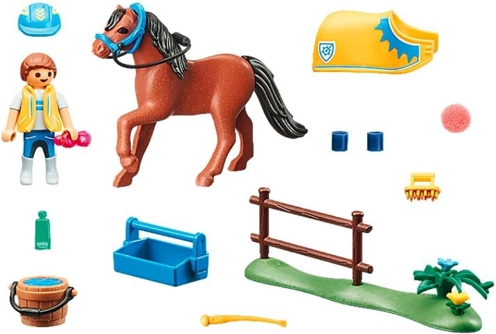Todo para el cuidado del poni