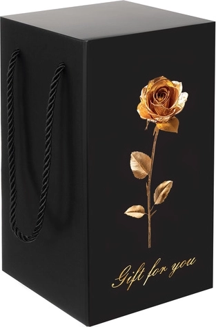 Elegante embalaje para regalo
