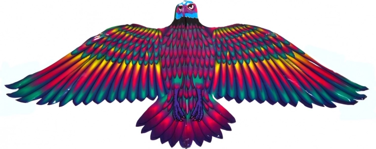 Vuelo estable gracias a las alas anchas