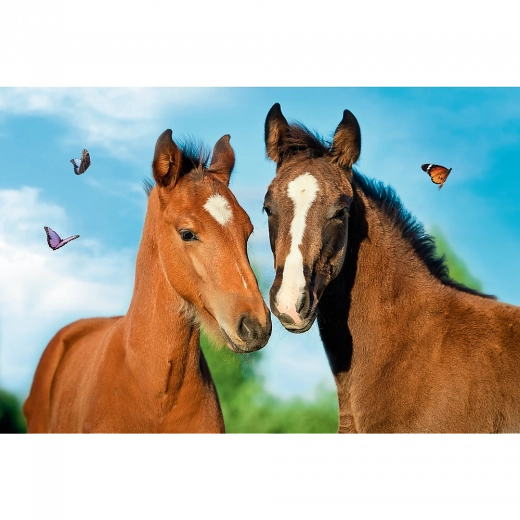 Imagen completa con crías