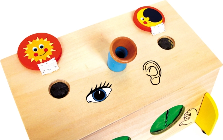 Diferentes formas y texturas en el interior